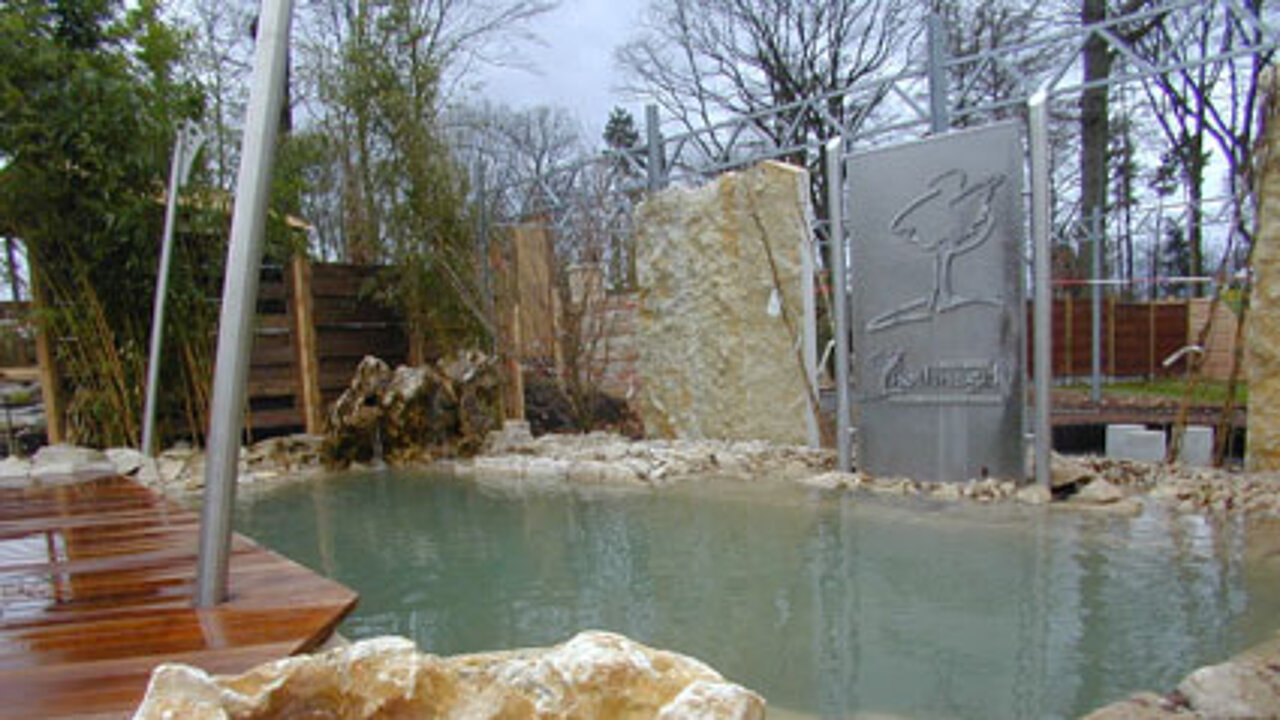 Schwimmteich