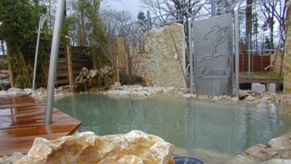 Schwimmteich