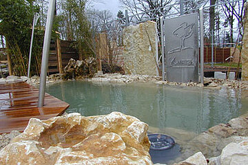 Schwimmteich