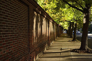 Image-12939