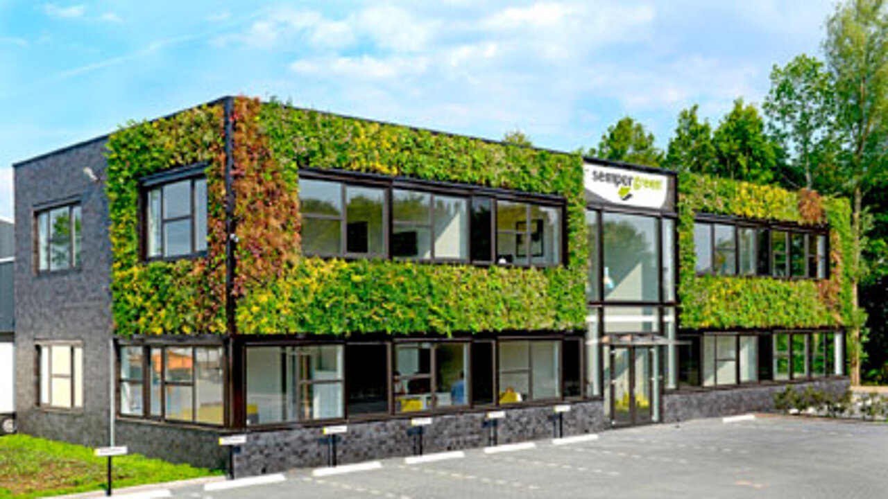 Grünfassaden