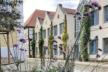 Stauden, Bäume und Hausbegrünung