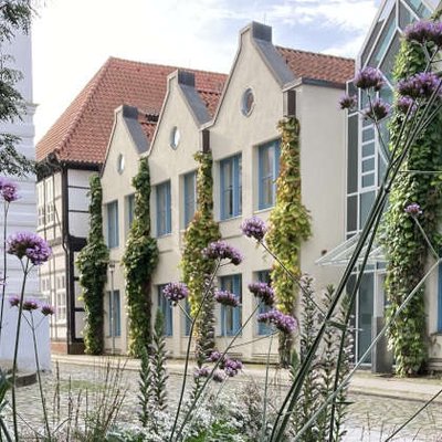 Stauden, Bäume und Hausbegrünung