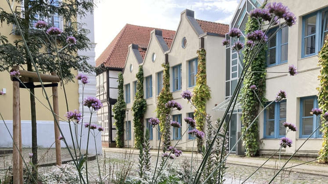 Stauden, Bäume und Hausbegrünung