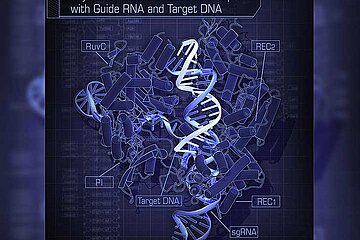 CRISPR/Cas