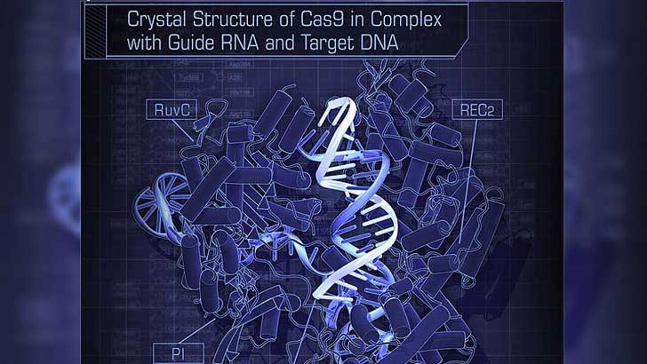 CRISPR/Cas
