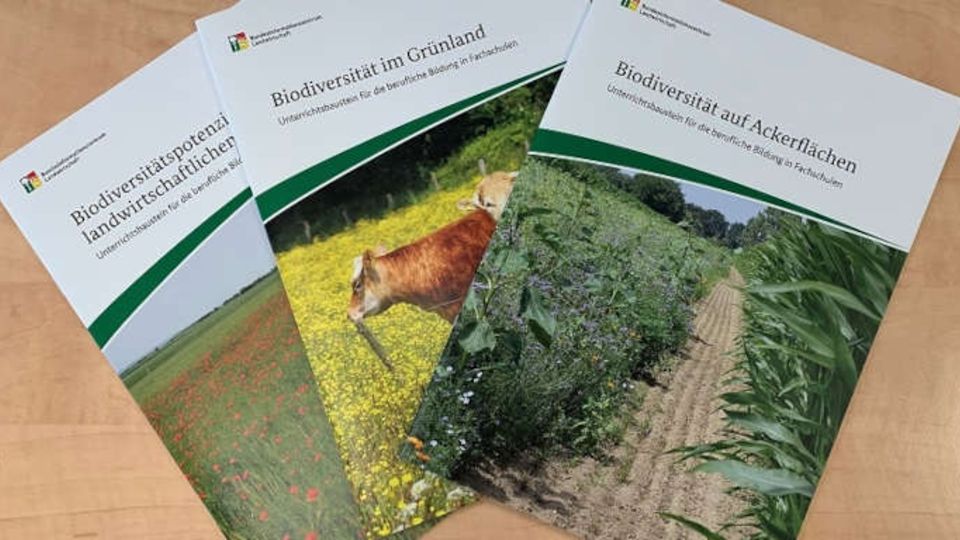 Unterrichtsbausteine zur Biodiversität