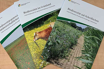 Unterrichtsbausteine zur Biodiversität