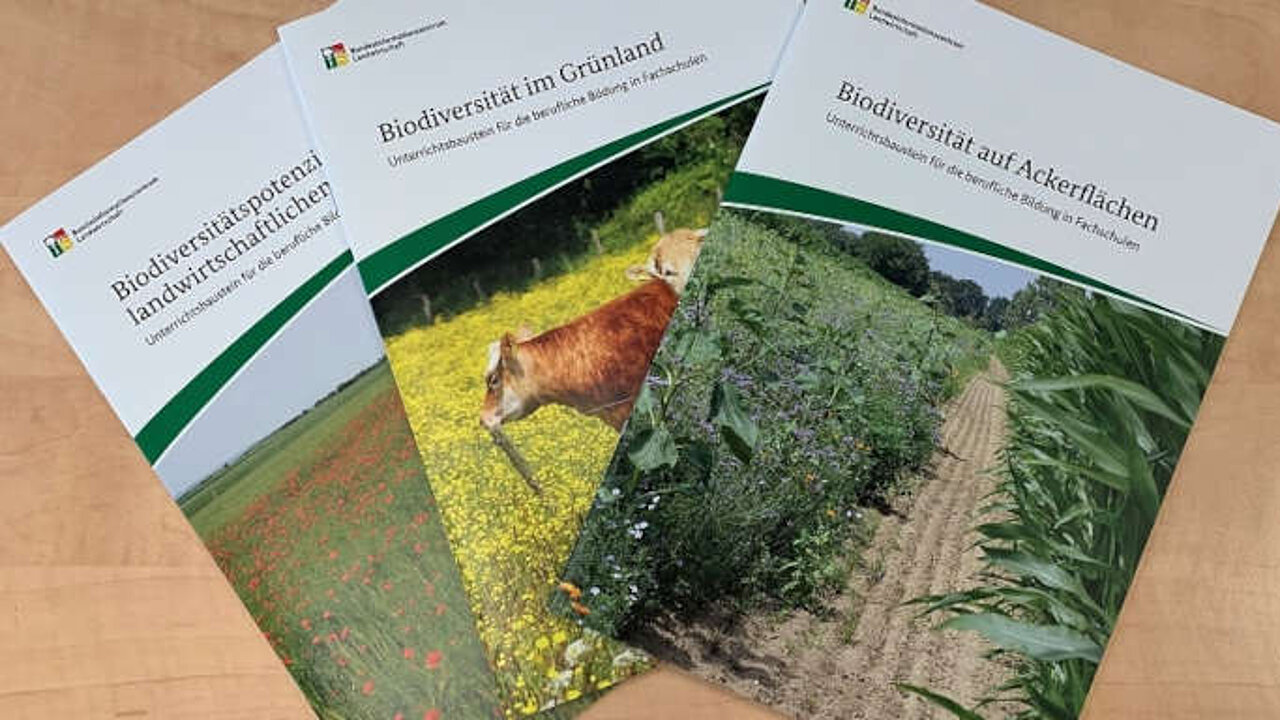 Unterrichtsbausteine zur Biodiversität