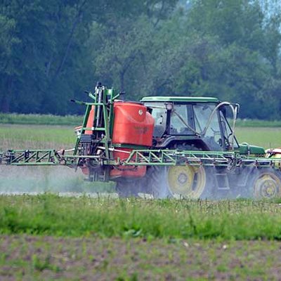 Unkraut durch Laser verschmoren