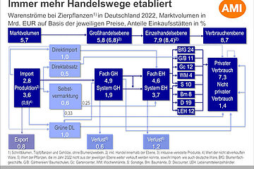 Warenströme bei Zierpflanzen