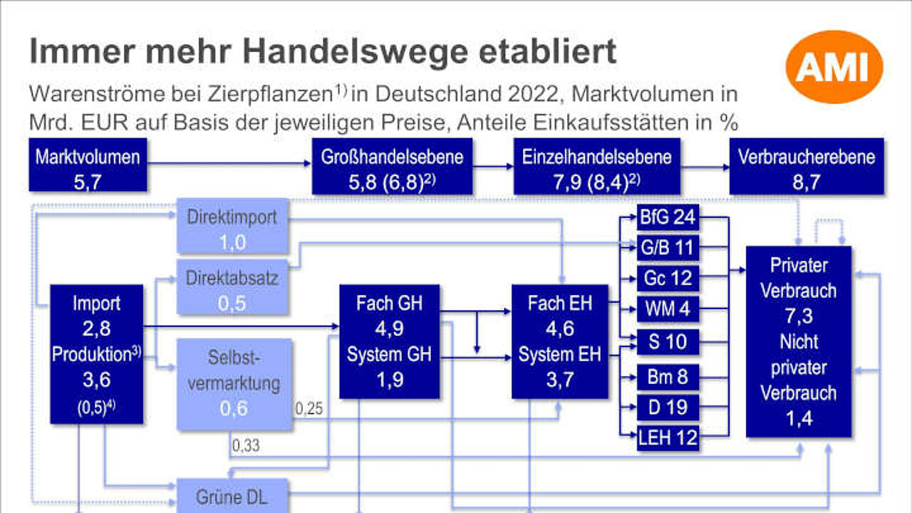 Warenströme bei Zierpflanzen
