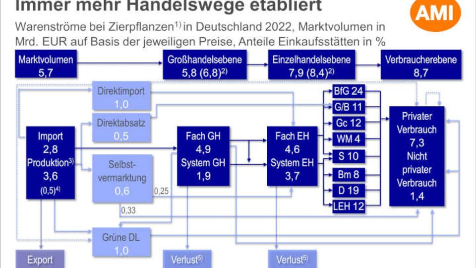 Warenströme bei Zierpflanzen