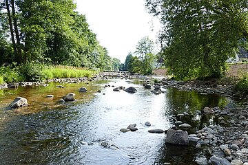 Gewässer