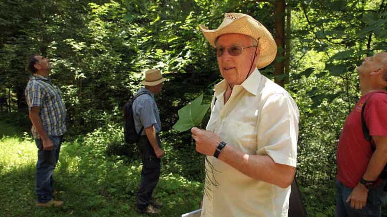 image-8040