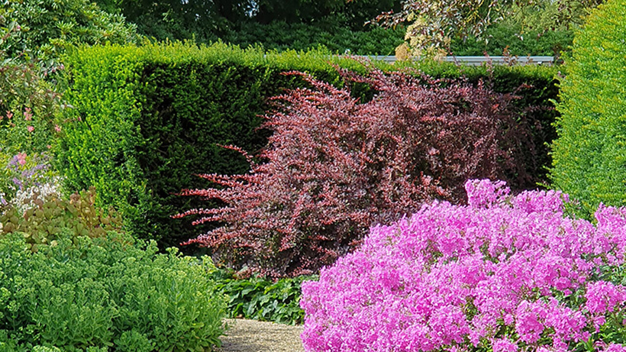 Traumgarten