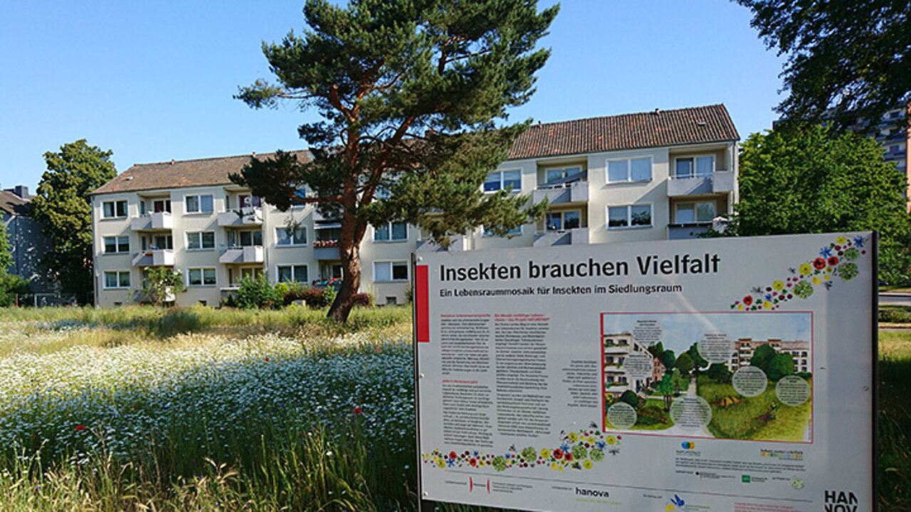 Blühwiese