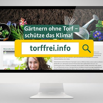 Datenbank