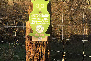Image-14014