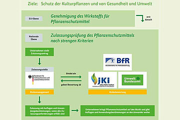Zulassung von Pflanzenschutzmitteln