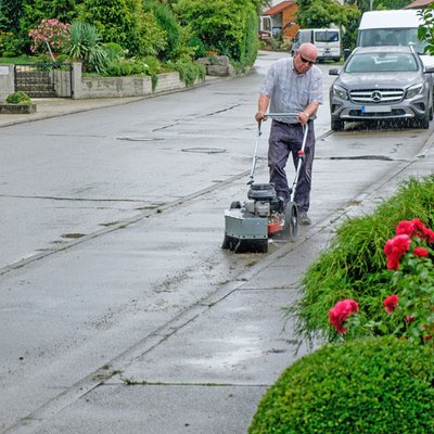Wildkrautbürste