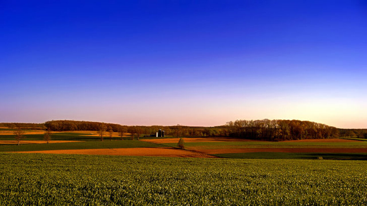 Landschaft