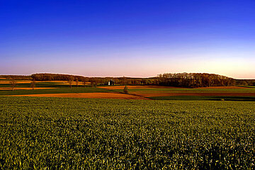 Landschaft