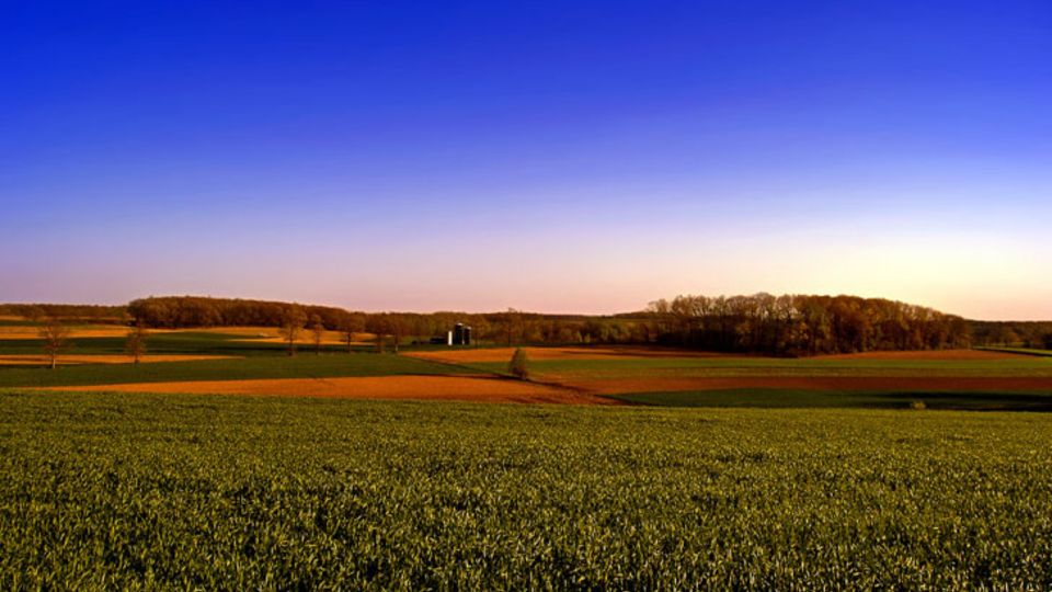 Landschaft