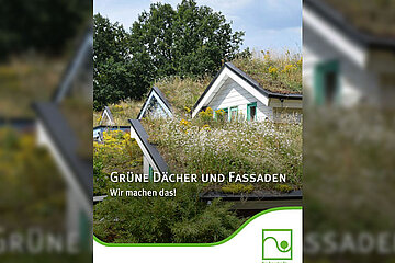 Dach- und Fassadenbegrünung