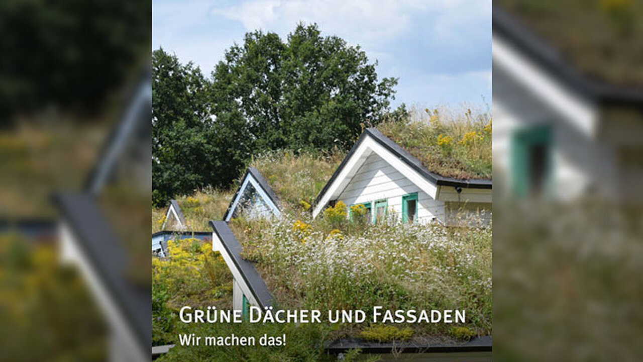 Dach- und Fassadenbegrünung