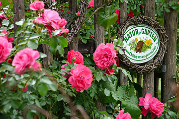 Natur im Garten