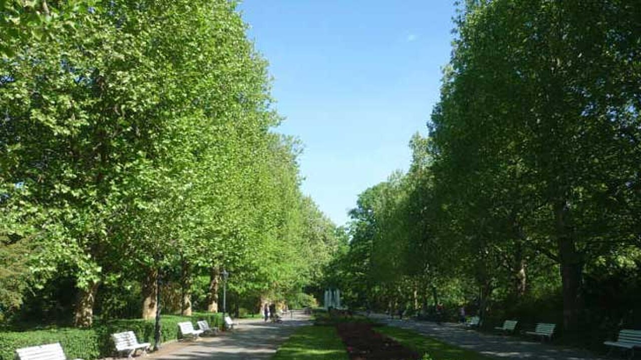 Grünanlage