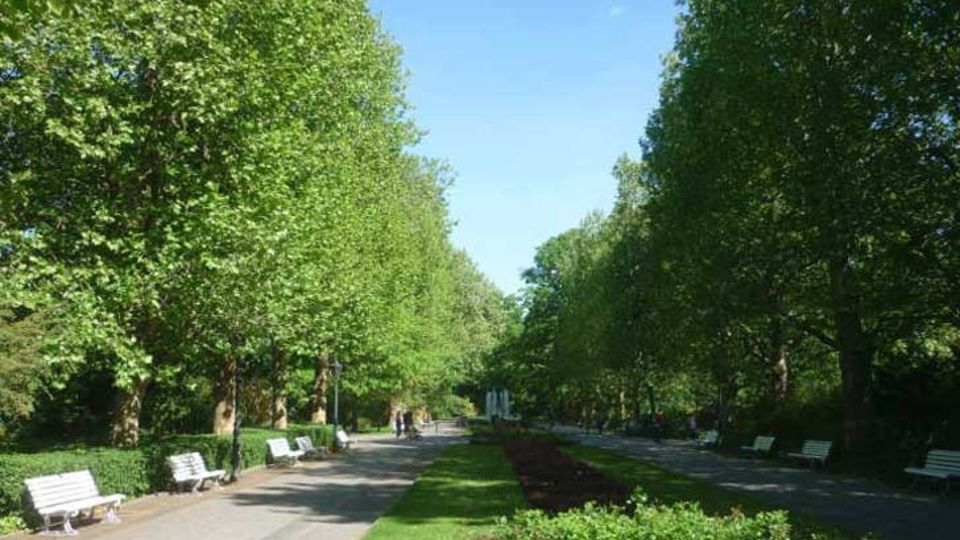 Grünanlage