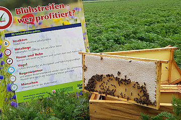 Image-14465