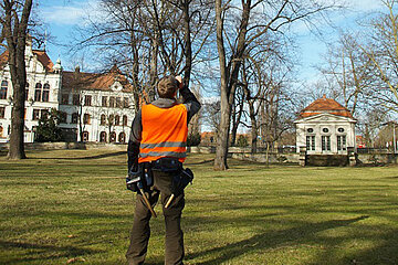 Baumkontrolleur