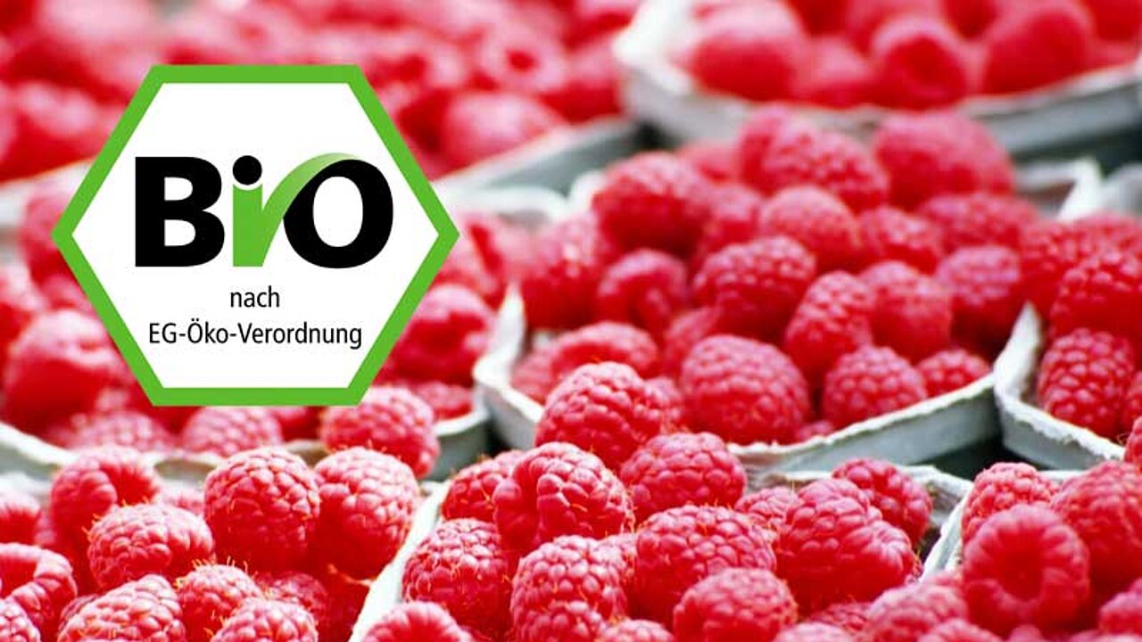 Bio-Obst aus Deutschland