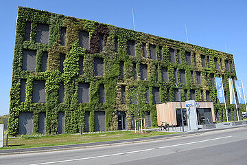 Fassadenbegrünung