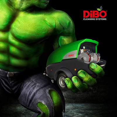 DIBO