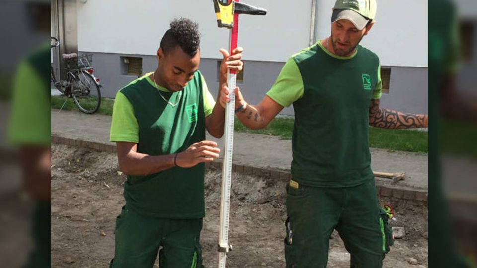 beim Obstbaumschnitt