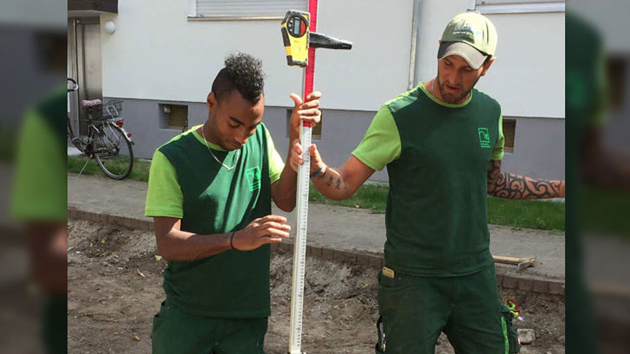 beim Obstbaumschnitt