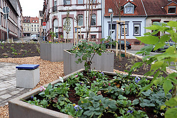 Schillerplatz