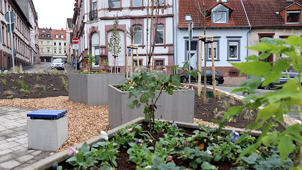 Schillerplatz