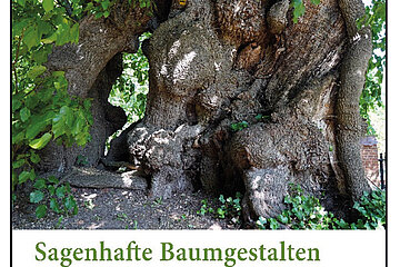 Baumkalender 2024