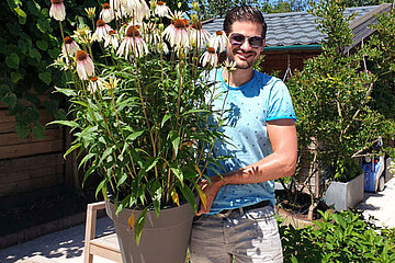 Echinacea Pretty Parasols