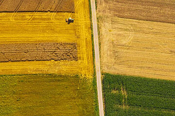 Image-13702