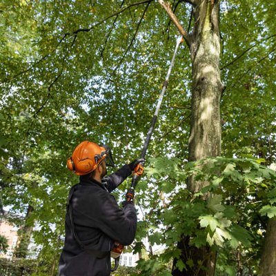 Akku-Hoch-Entaster STIHL HTA 135