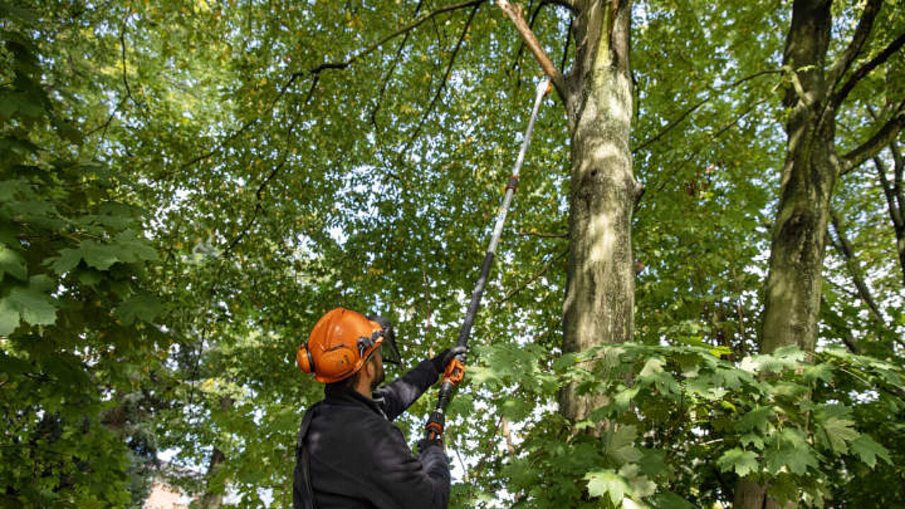 Akku-Hoch-Entaster STIHL HTA 135