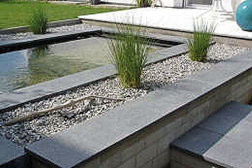 Image-7751