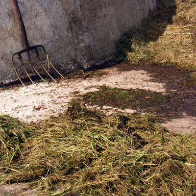 Landschaftspflege Mahdgut