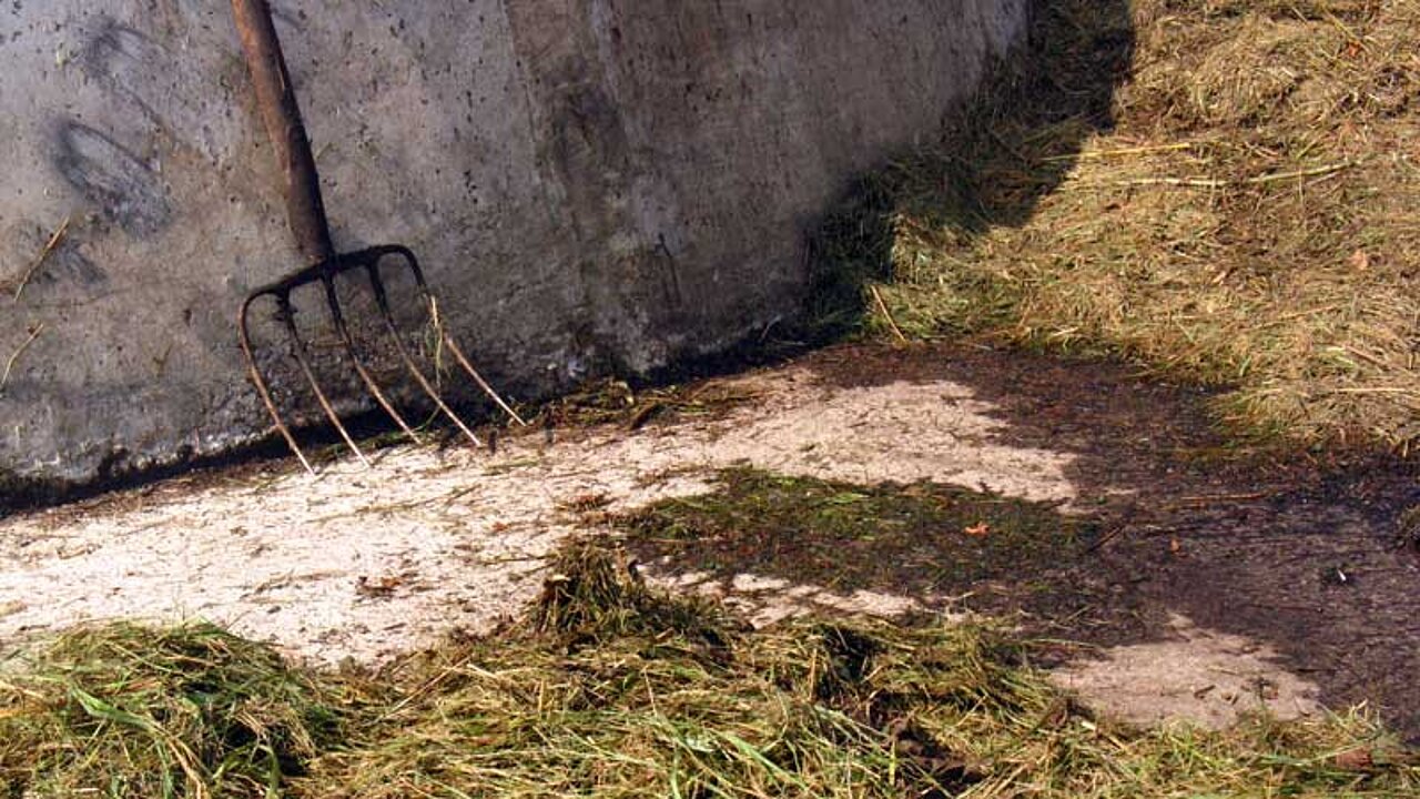 Landschaftspflege Mahdgut